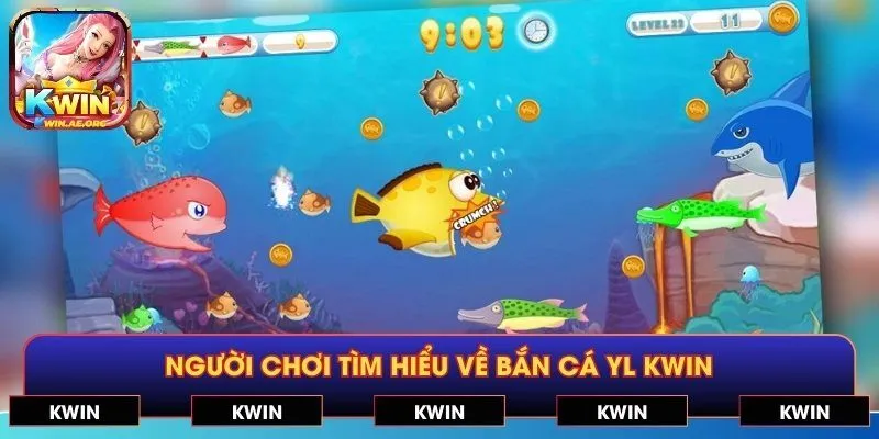 Người chơi tìm hiểu về bắn cá YL KWIN