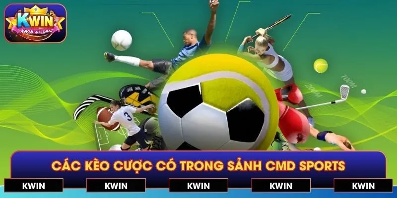 Điểm danh các kèo cược có trong sảnh CMD sports